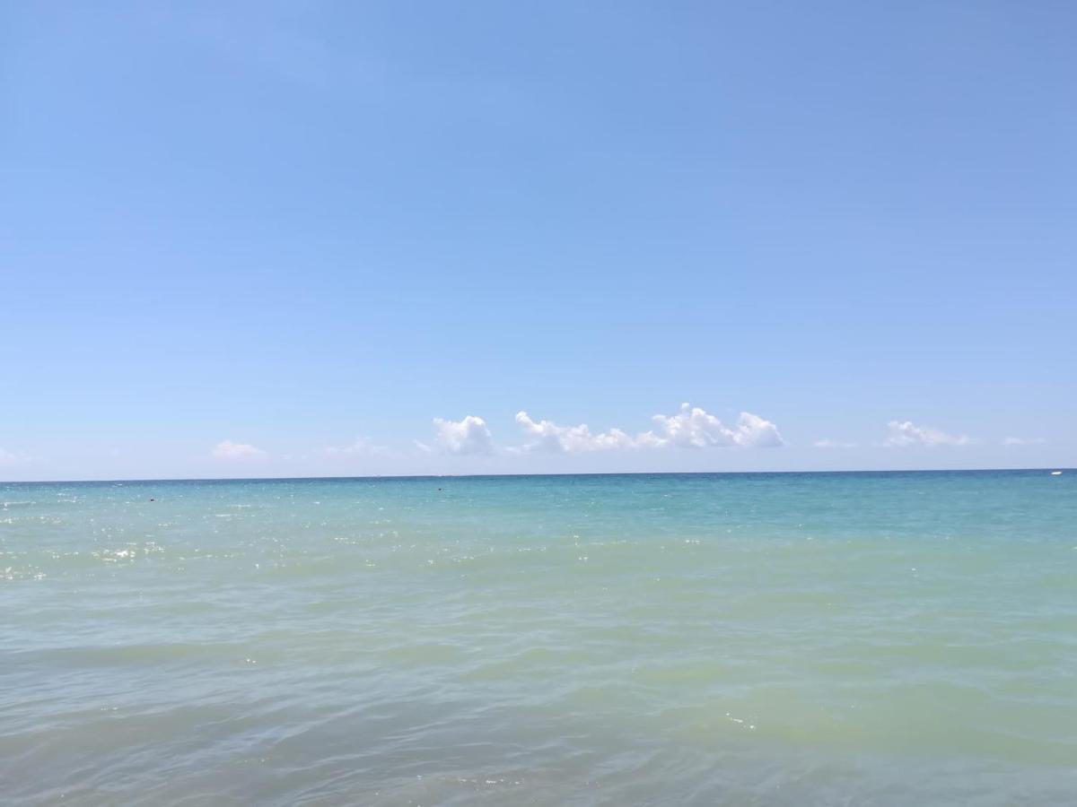 La Ceiba Speciosa Bed & Breakfast Capaccio ภายนอก รูปภาพ